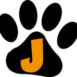 Pup Jaffa