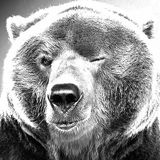 BearSelector Birthday Bash! Hulme Exclusive - 7th April 2012!