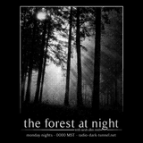 The Forest At Night