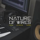 Nature of Wires