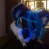 Memoirs of a Furry day 40 the return of the cyberfolf