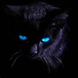 dj tohno edm mix