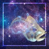 Grethen ☽-⁄◦/◦⁄◦▷ Aether