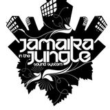 Hardmaika In The Viña - KaSiMiRo ( Jamaika In The Jungle )