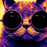 ANIM@L Mix - best of House/Electro #2