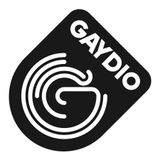 Gaydio 335