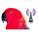 Radio Eclectus