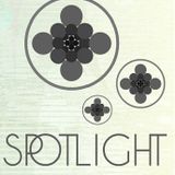 Spotlight Podcast #8 Steve Slight
