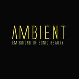 Ambient #37 : Karsten Pflum