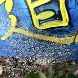 Soundscape for Suzi