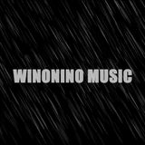Tomorrowland 2013 WARM UP - Winonino Music