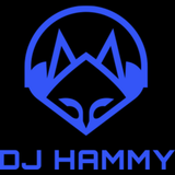Original DJ Hammy
