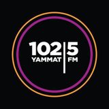 yammatFM_shows