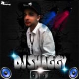 DeeJ Shaggy - Aventura Clasica