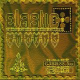 ElasticChords