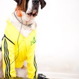 djTangoMiniMixFeb2012