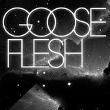 GOOSEFLESH Summer Mix 2010