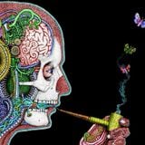 HavePsychedelicNight