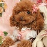 榎本愛 S Followers Mixcloud