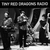 Tiny Red Dragons Radio profile image