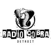 RadioCobraDetroit profile image