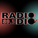 RADIO DIO 89.5FM profile image