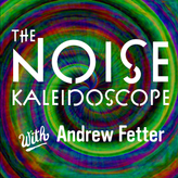 The Noise Kaleidoscope profile image