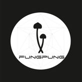 mFungus (fungPung) profile image