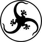 Disco Gecko Recordings profile image