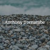 Anthony Tornambe profile image