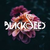 Black_Seed_Records profile image