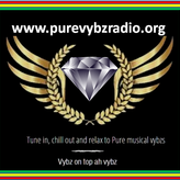 Pure Vybz Radio Org - Red Lion profile image