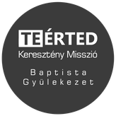 TEÉRTED profile image