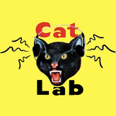 CatLab profile image