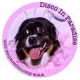 Disco in Paradise profile image