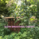 slow breathing circuit profile image