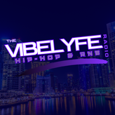 THE VIBELYFE profile image