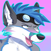 Takum Fox profile image