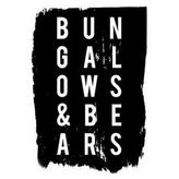Bungalows and Bears profile image
