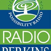 Radio Perkins profile image