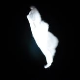 Art & Archive profile image