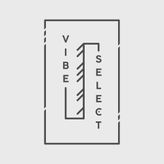 Vibe Select profile image
