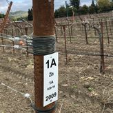 Wine Country Mixtape profile image
