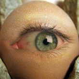 Boiled Egg Eyebulb profile image