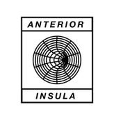 Anterior Insula profile image