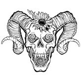 Stoner|Doom|Psychedelic|Sludge profile image