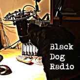 Black Dog Radio profile image
