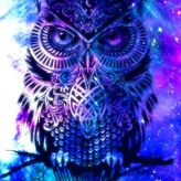 macgueryy profile image