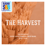 The Harvest profile image