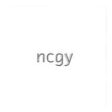 ncgy profile image